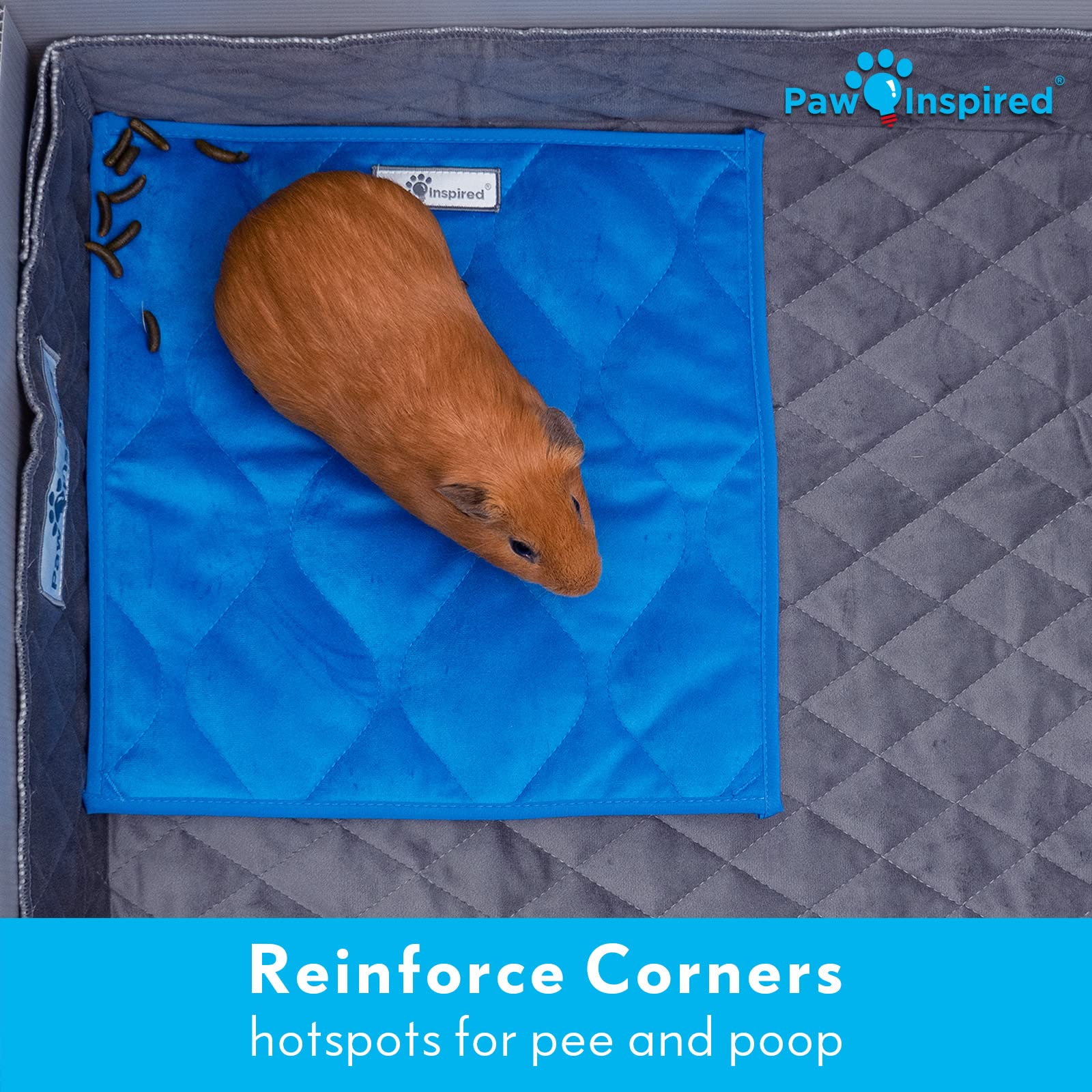Paw Inspired easy-clean machine-washable design simplifies cage maintenance.