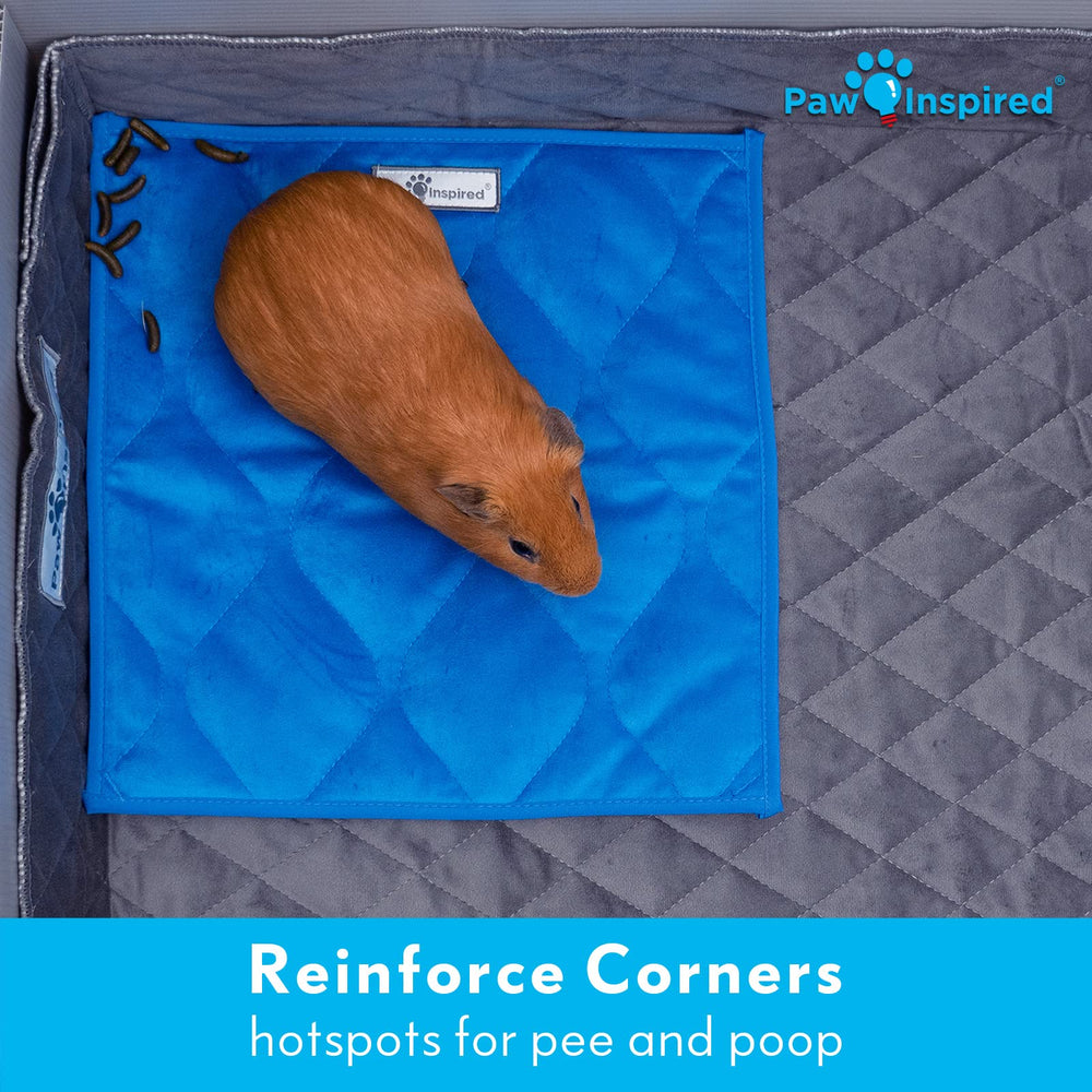 Paw Inspired easy-clean machine-washable design simplifies cage maintenance.