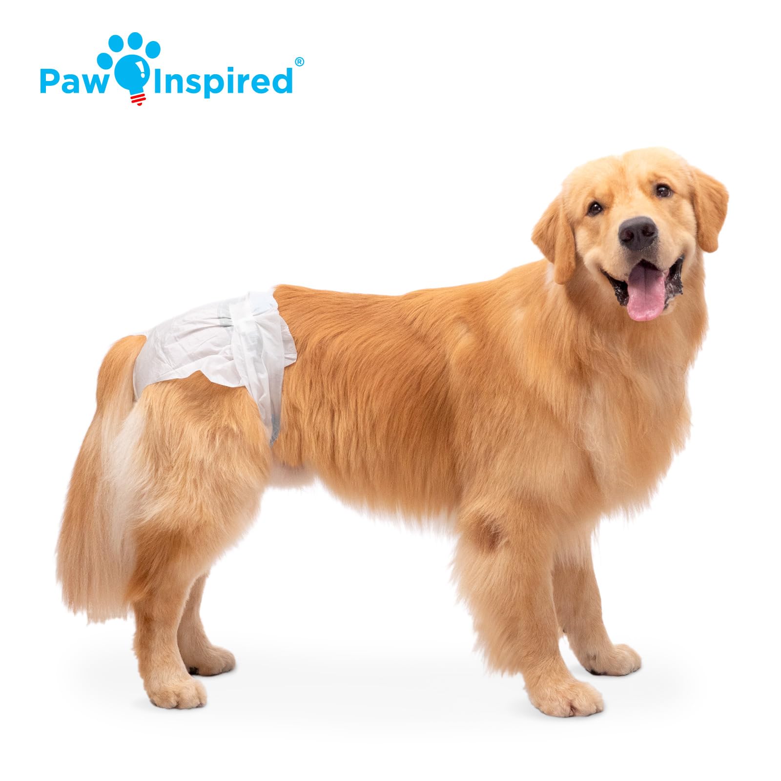Paw Inspired pañales absorción rápida transforman orina en gel para seguridad.