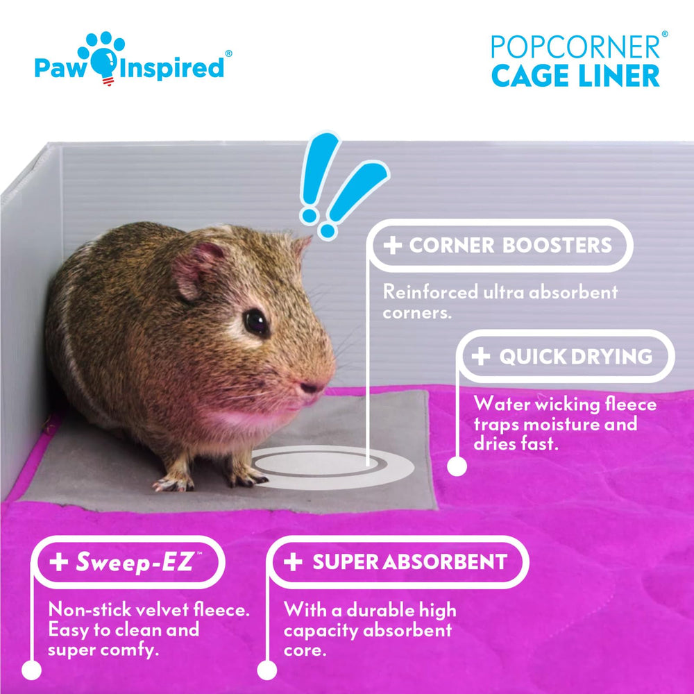 Paw Inspired PopCorner 2x3 cage fit in green demonstrates precise size compatibility