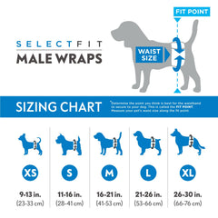 Paw Inspired Select Fit male diapers showing leakproof edges for containment.