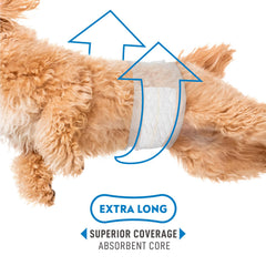 Paw Inspired Select Fit male diapers featuring repositionable fur-resistant fasteners.