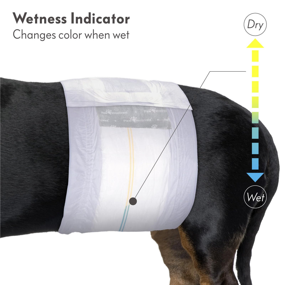 Paw Inspired Select Fit size chart image shows XS to XL range.