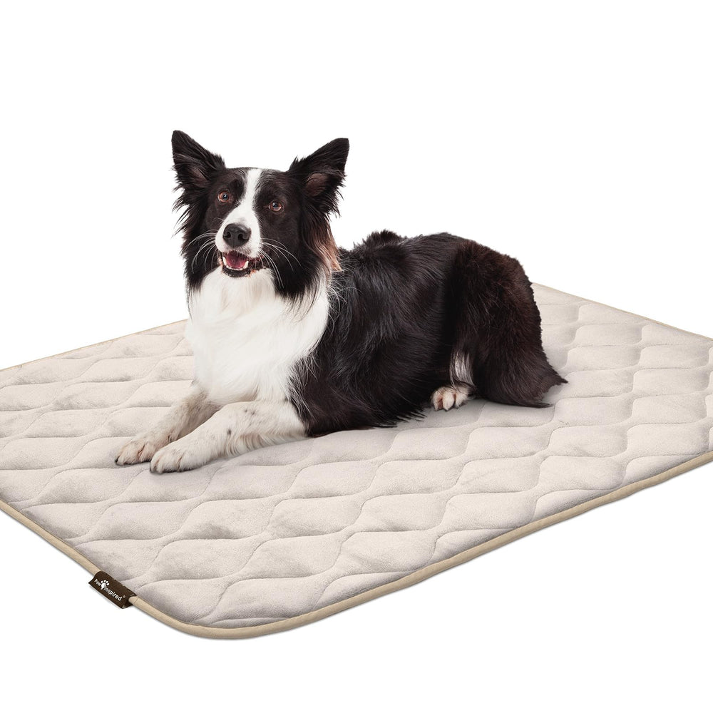 Paw Inspired tan crate mat doubles as versatile bed or nap mat.