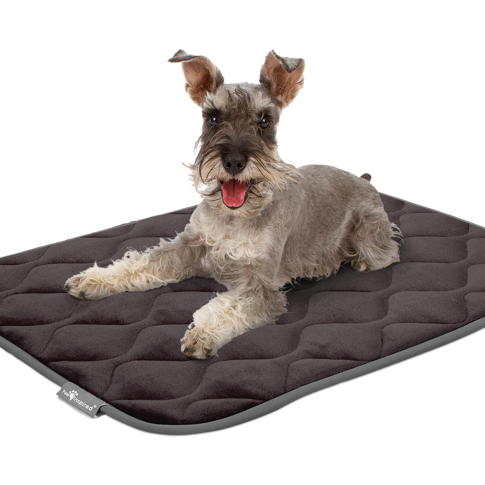 Paw Inspired crate mat in use shows dog resting comfortably in crate