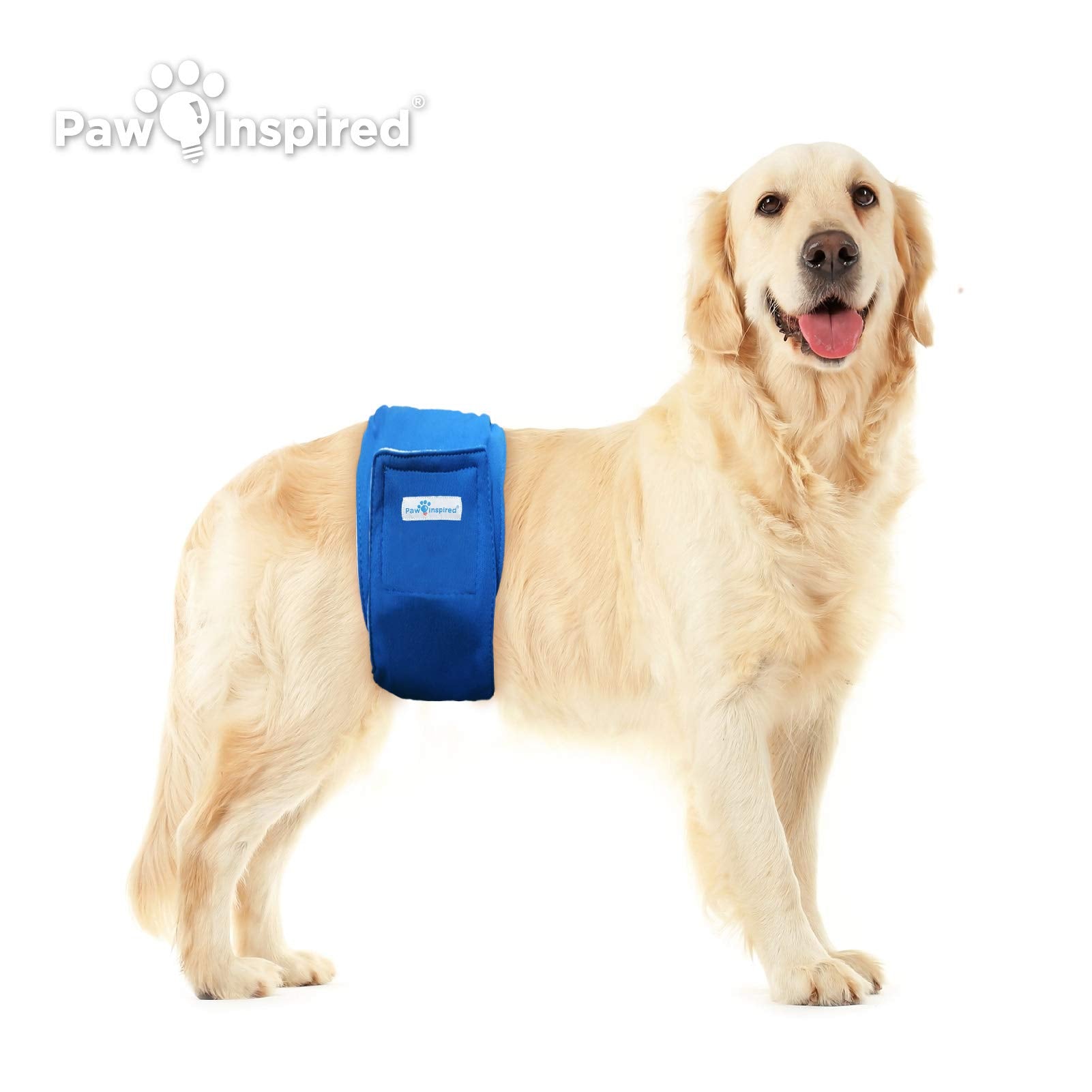 Paw Inspired washable dog wraps show durable stitching for long-term use.
