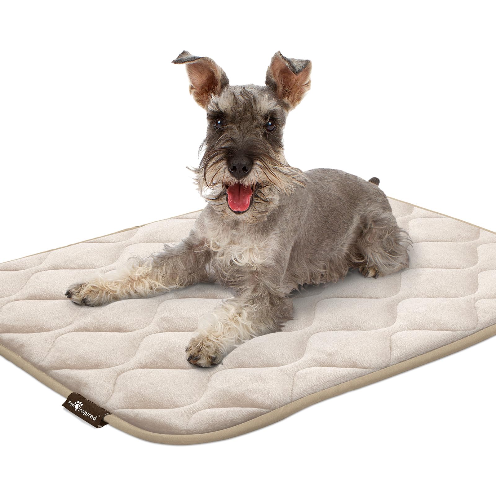 Paw Inspired waterproof bottom prevents moisture from reaching floors.