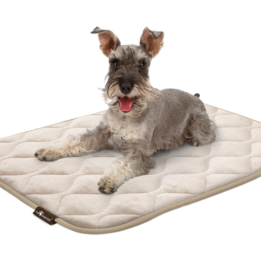 Paw Inspired waterproof bottom prevents moisture from reaching floors.