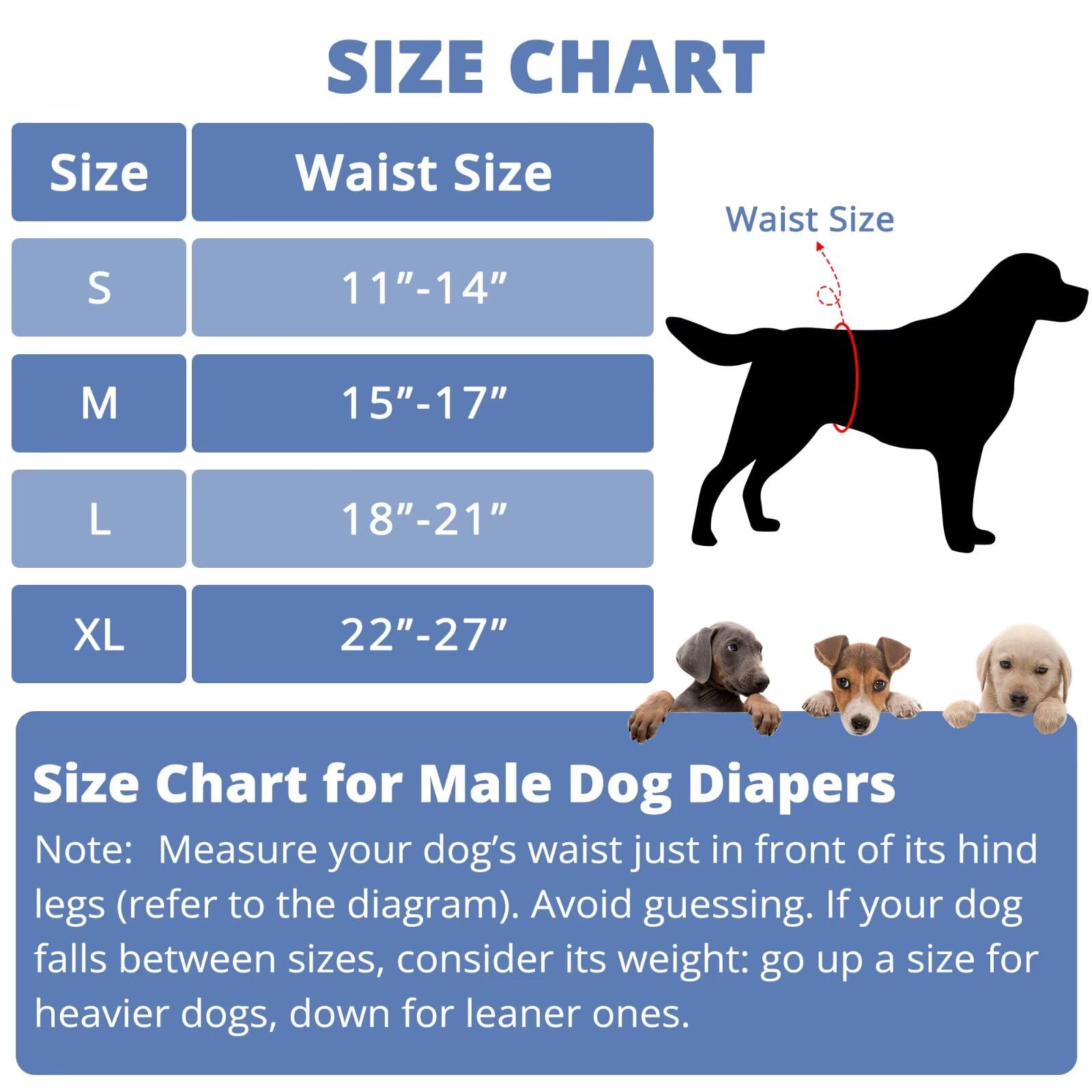 Paw Legend breathable mesh interior and waterproof exterior reduce odor and leaks.