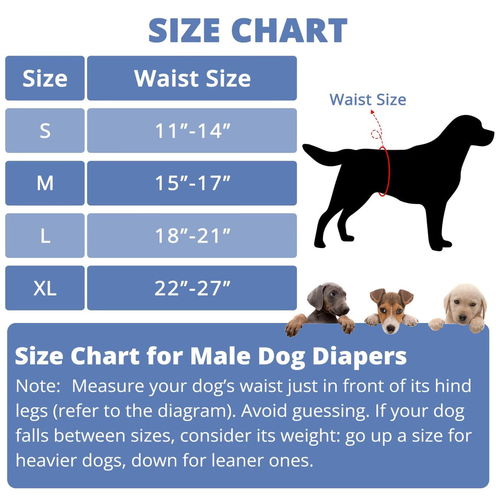 Paw Legend breathable mesh interior and waterproof exterior reduce odor and leaks.