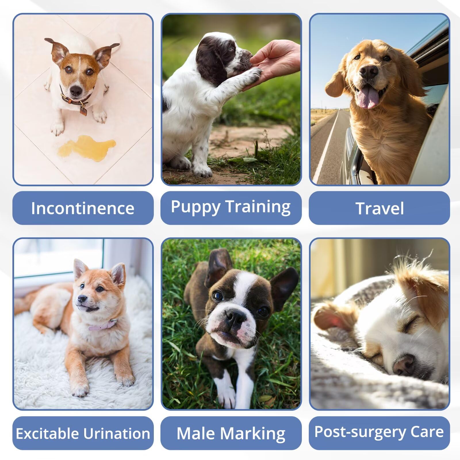 Paw Legend large-size diapers fit dogs comfortably while offering versatile uses at home.