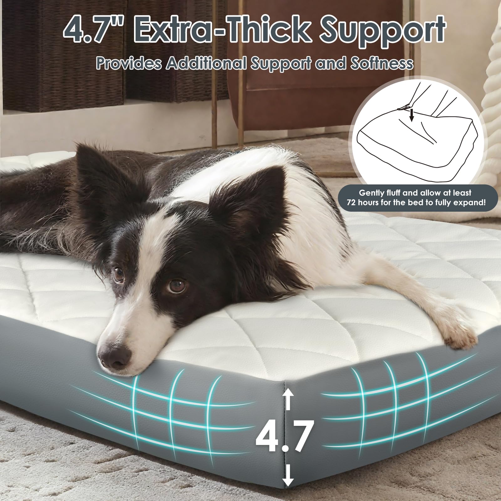 Paw Libero bed thickness 4-7 inch side profile emphasizes lasting loft and durability.