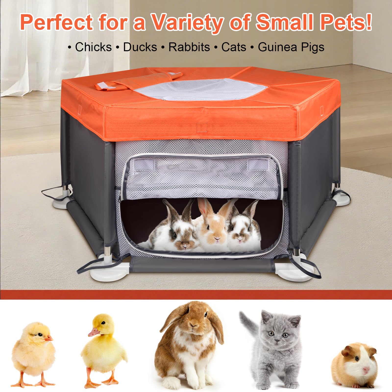 Paw Libero easy access removable roof for quick setup and maintenance