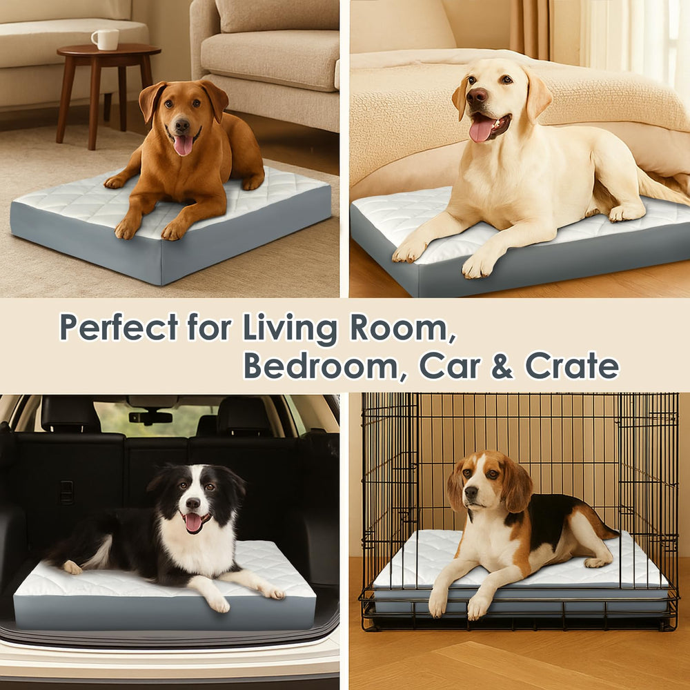Paw Libero easy-clean faux leather image highlights quick fur and stain removal.