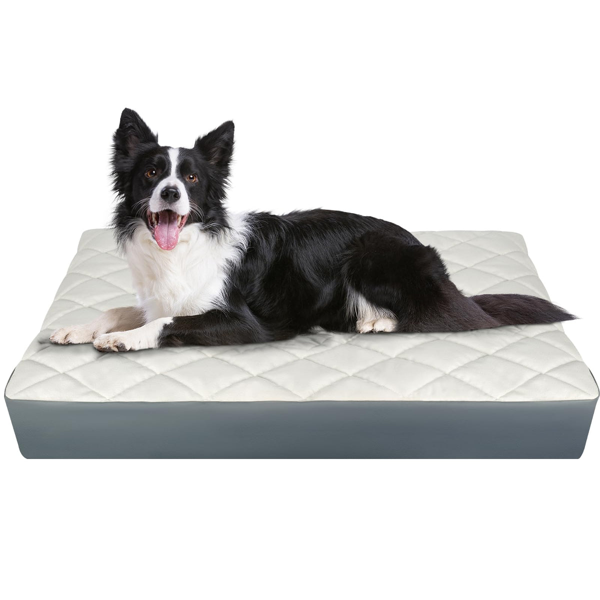 Paw Libero large orthopedic dog bed top view shows roomy surface for lounging and stretching.