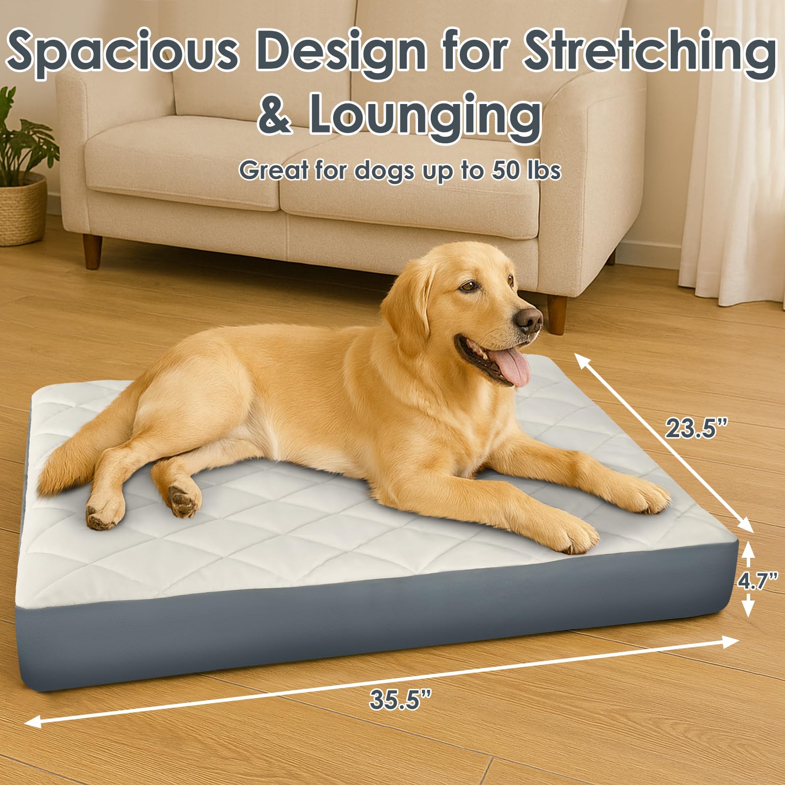 Paw Libero non-slip bottom underside image demonstrates stable placement during rest.