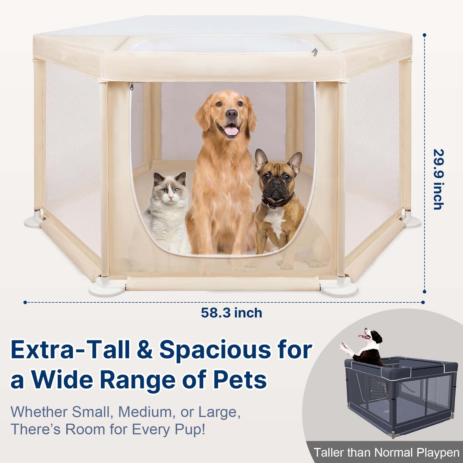 Paw Libero secure zipper closeup shows lockable closure for safety