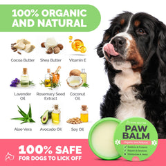 Paw Nectar dog paws closeup highlights moisturized pads and renewed softness.