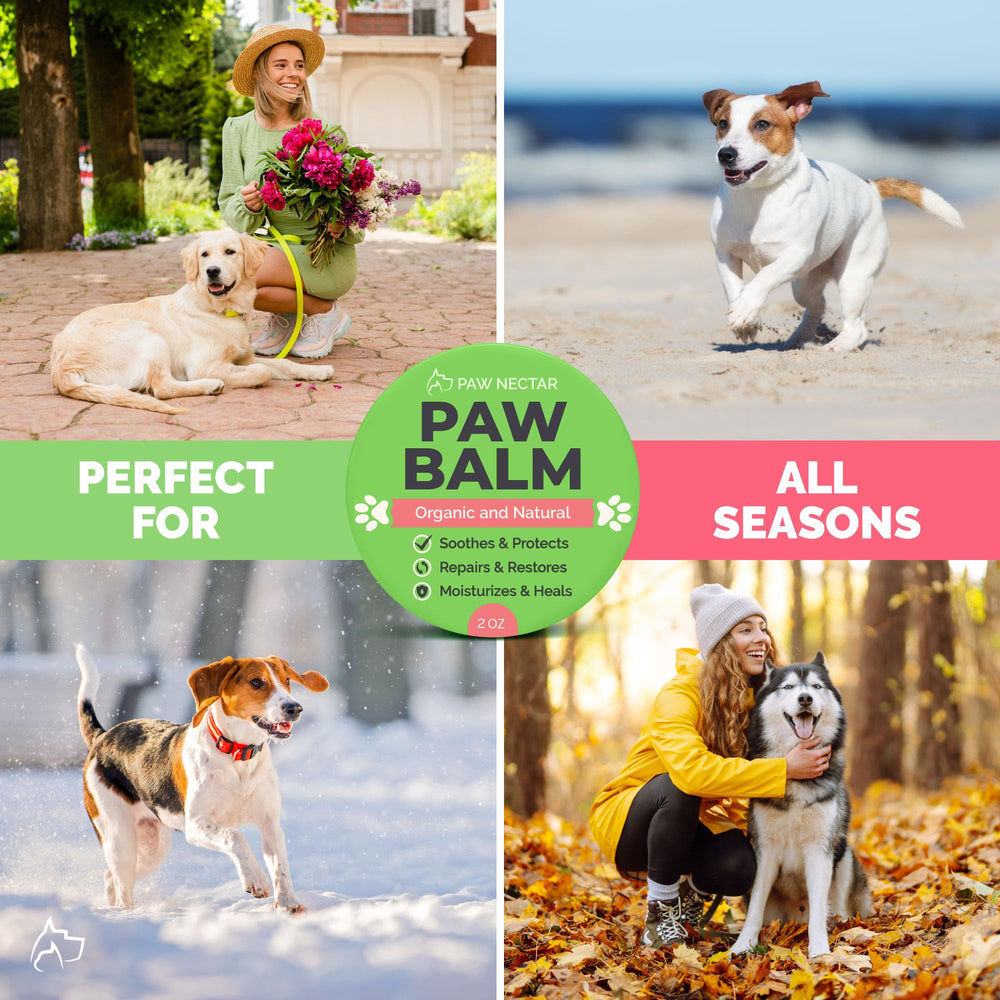 Paw Nectar ingredients coconut oil and shea butter nourish pads for healthy looking skin.