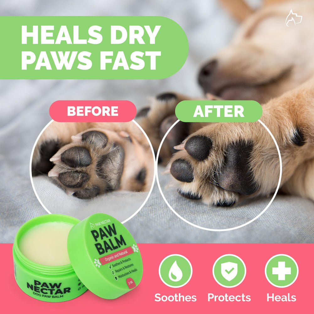 Paw Nectar paw balm application on a paw demonstrates easy, mess-free soothing for dry pads.