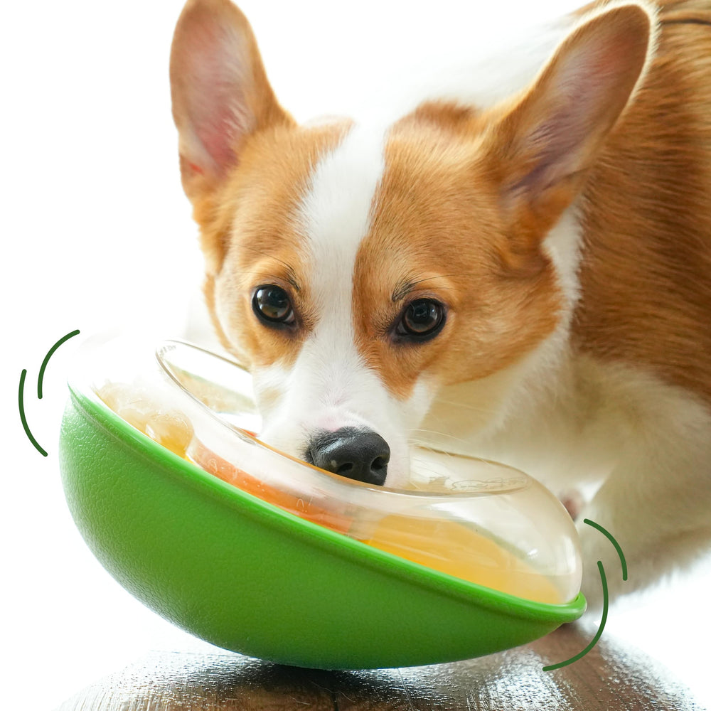 PAW QUEST Avocado non-spill wobble toy demo showing mess-free treats