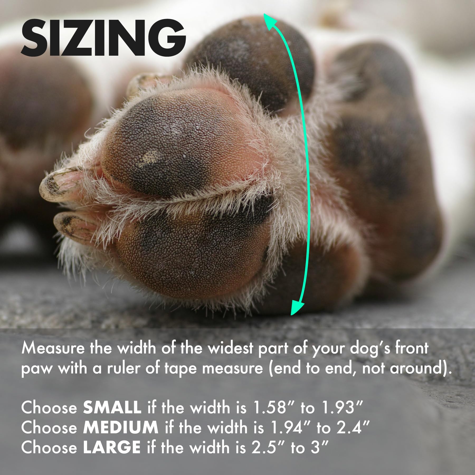 Paw—Skins 2.0 pack includes two extra boots for peace of mind.