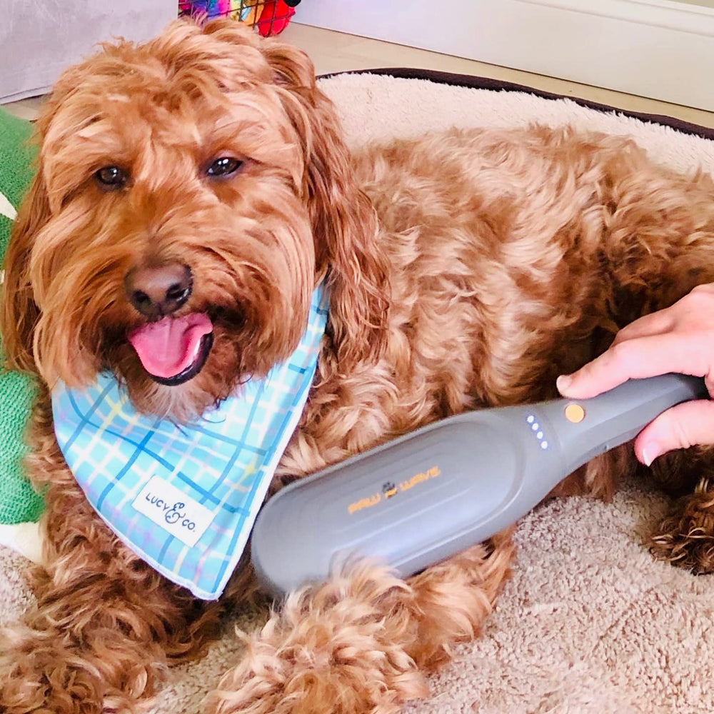 PAW WAVE dog-cat-skin-care emphasizes improved circulation and reduced muscle tension.