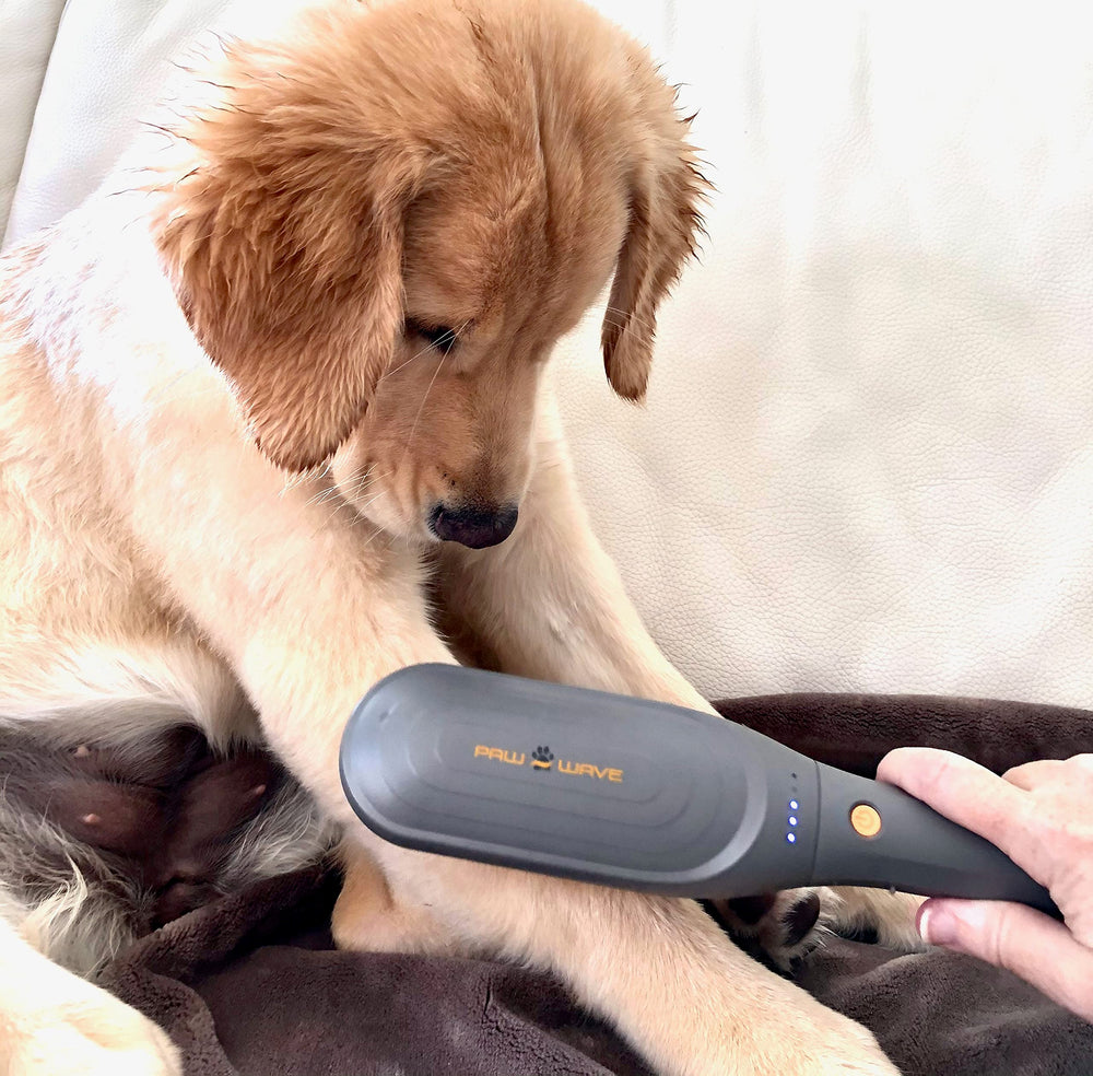 PAW WAVE soft-bristles-grooming delivering soothing contact for comfort and skin care.