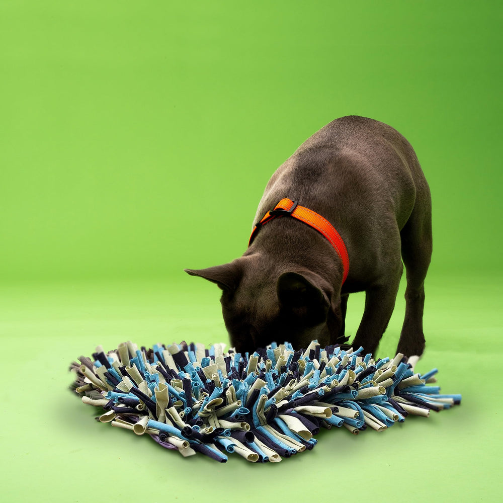 PAW5 snuffle-mat soft cotton texture provides safe enrichment for dogs.