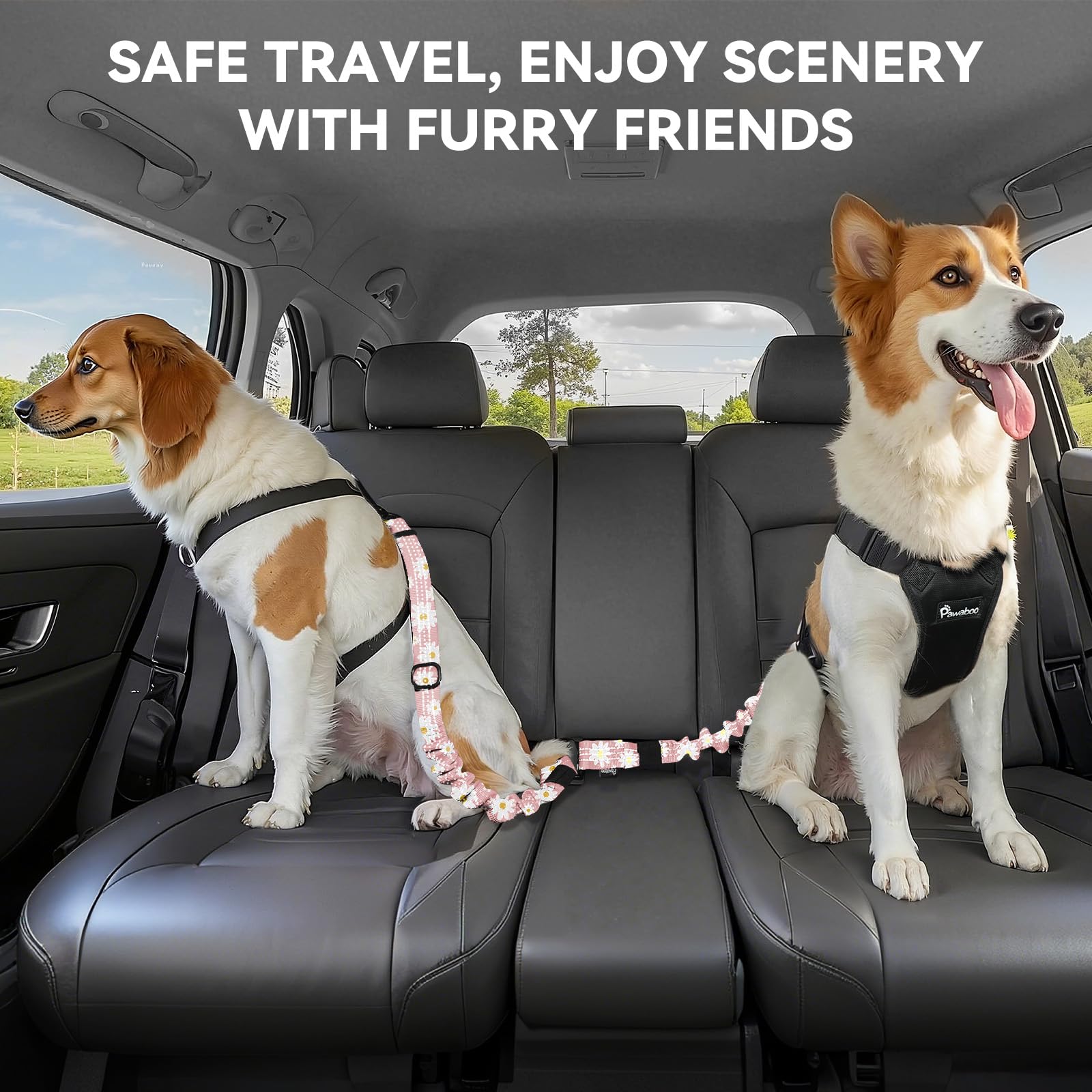 Pawaboo 3in1 seatbelt setup showing versatile mounting options