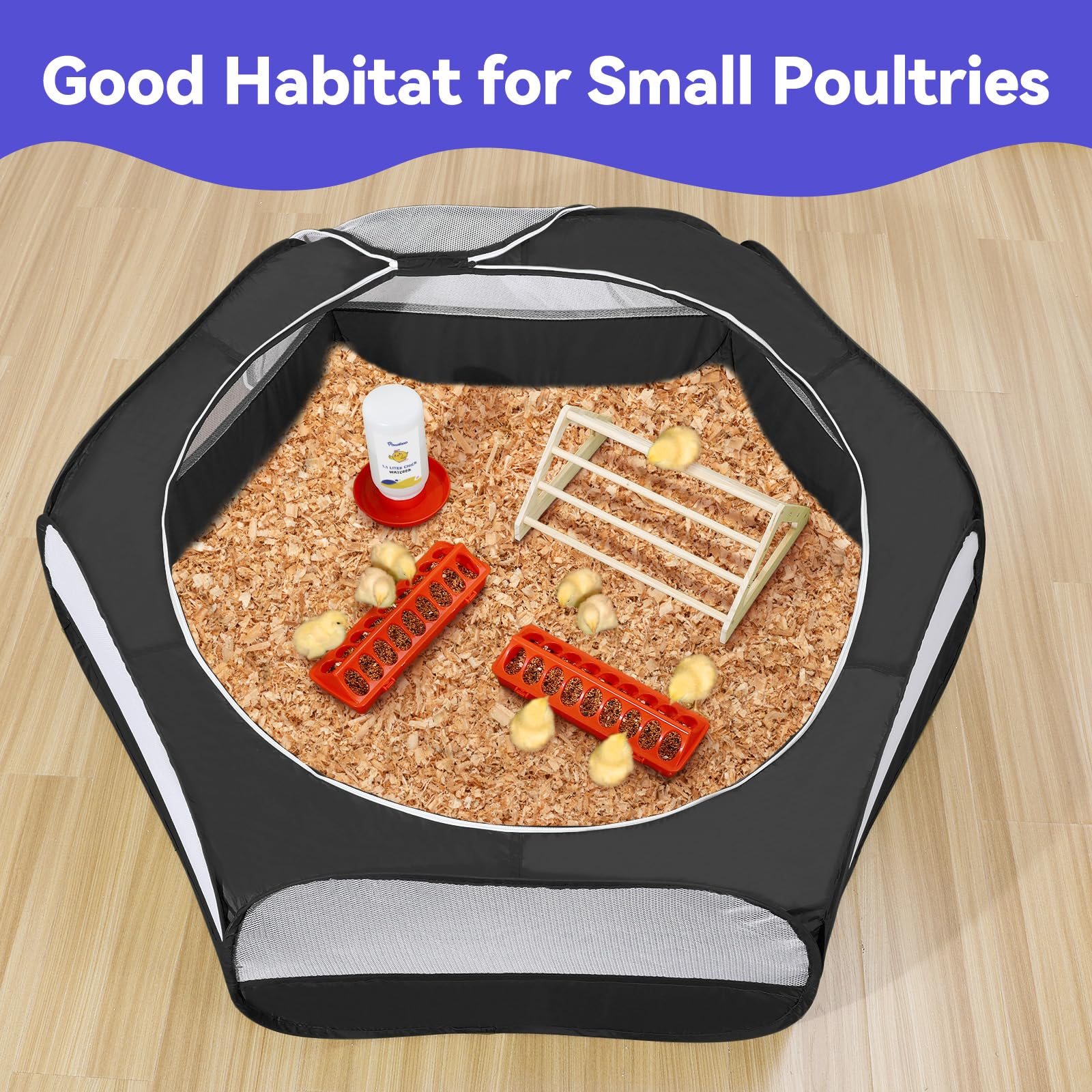 Pawaboo all-in-one chick supplies layout demonstrates compact, versatile setup for starters