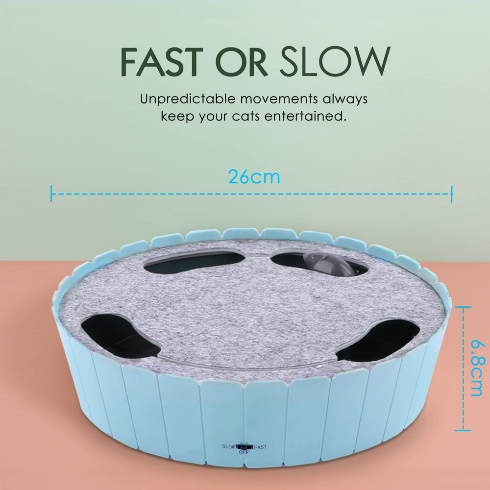 Pawaboo automatic mouse rotation blue attracting attention during indoor sessions