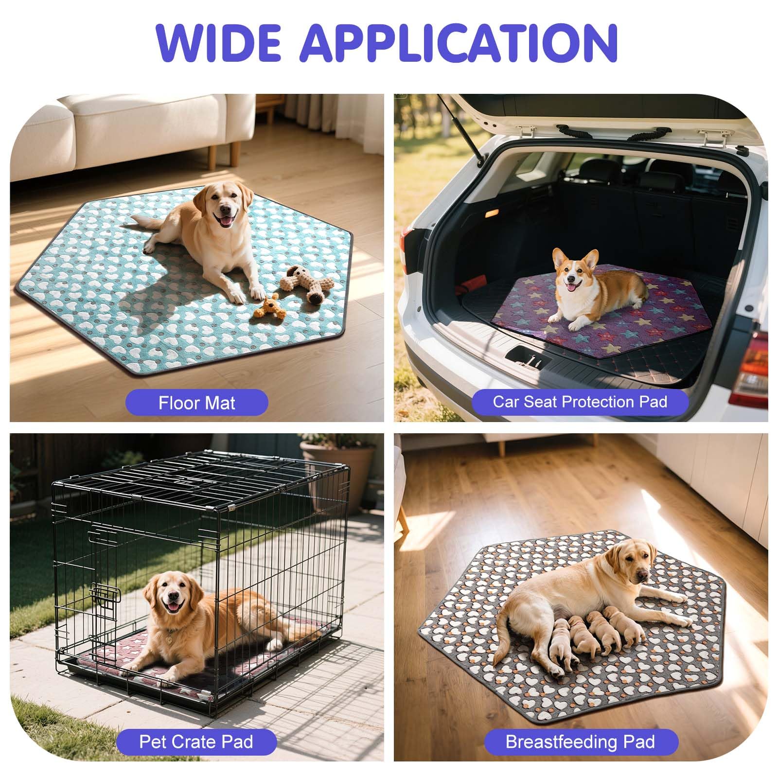 Pawaboo cage-tent pad on floor demonstrates multi-use resting surface.