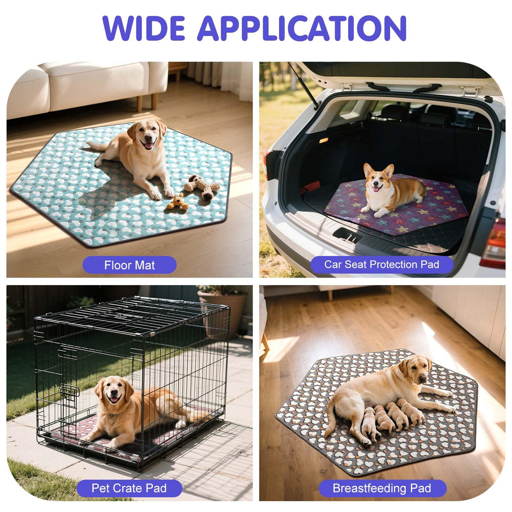 Pawaboo cage-tent pad on floor demonstrates multi-use resting surface.