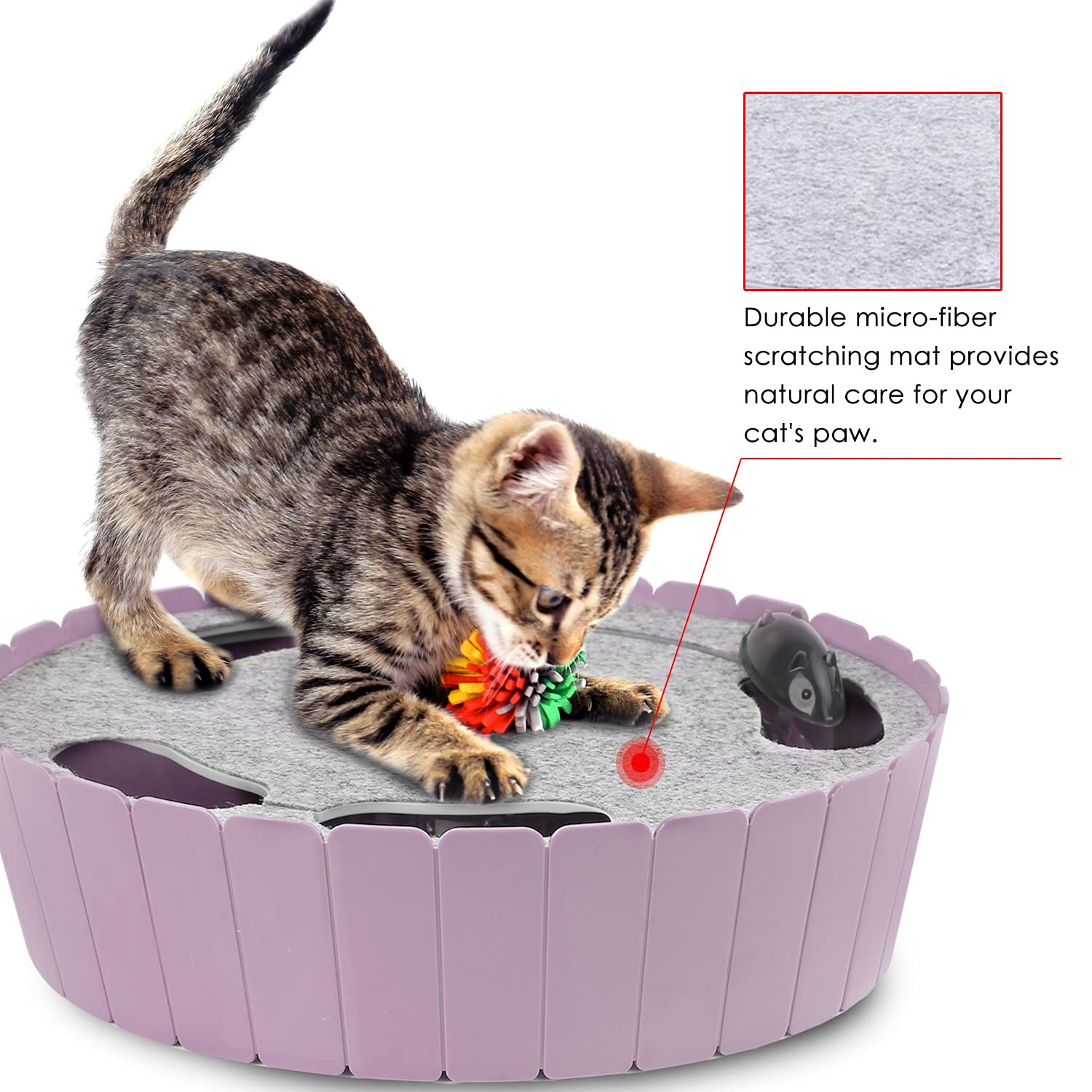 Pawaboo-cat-enjoying-interactive-play shares bonding time and light exercise with your pet.