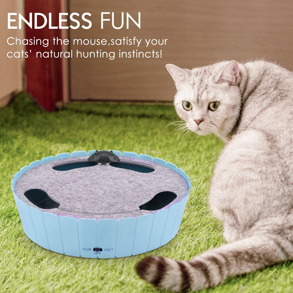 Pawaboo cat teaser fast mode blue triggering chase behavior