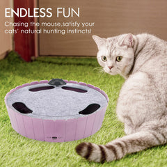 Pawaboo cat-toy-fast-slow-modes offers varied play sessions for energy use.