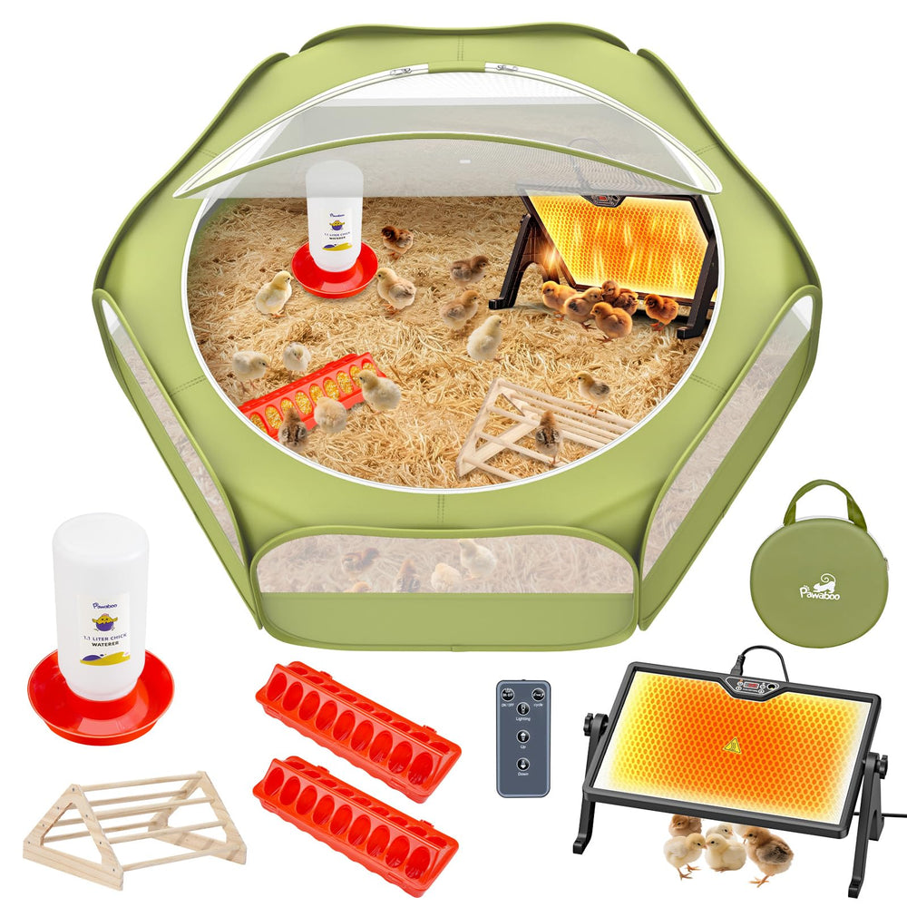 Pawaboo chick brooder box assembly for easy at-home chick care setup