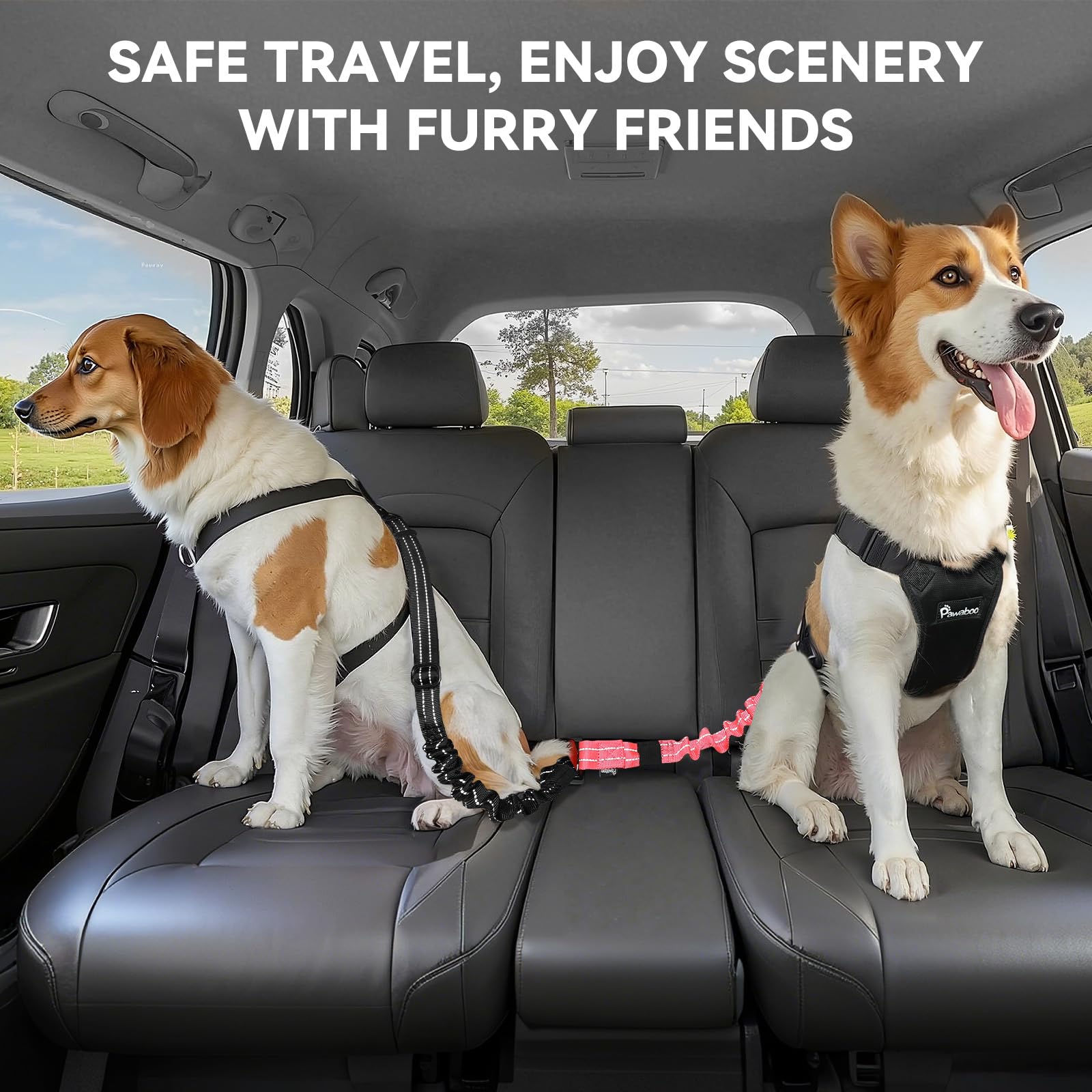 Pawaboo doble fijación ofrece seguridad y flexibilidad en coche