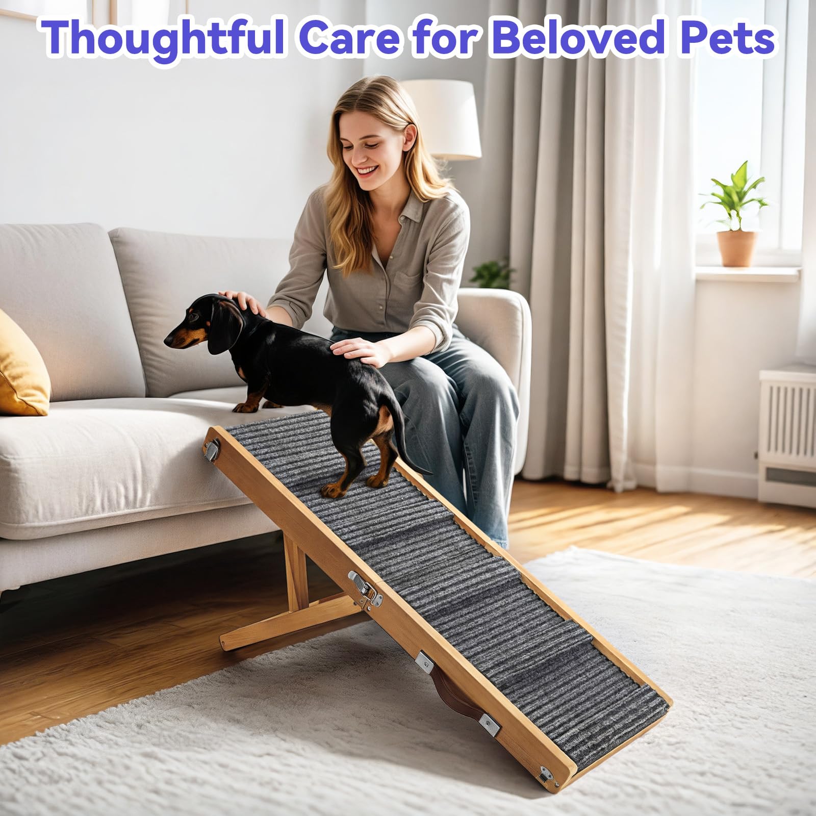 Pawaboo lightweight ramp with side handles for easy transport