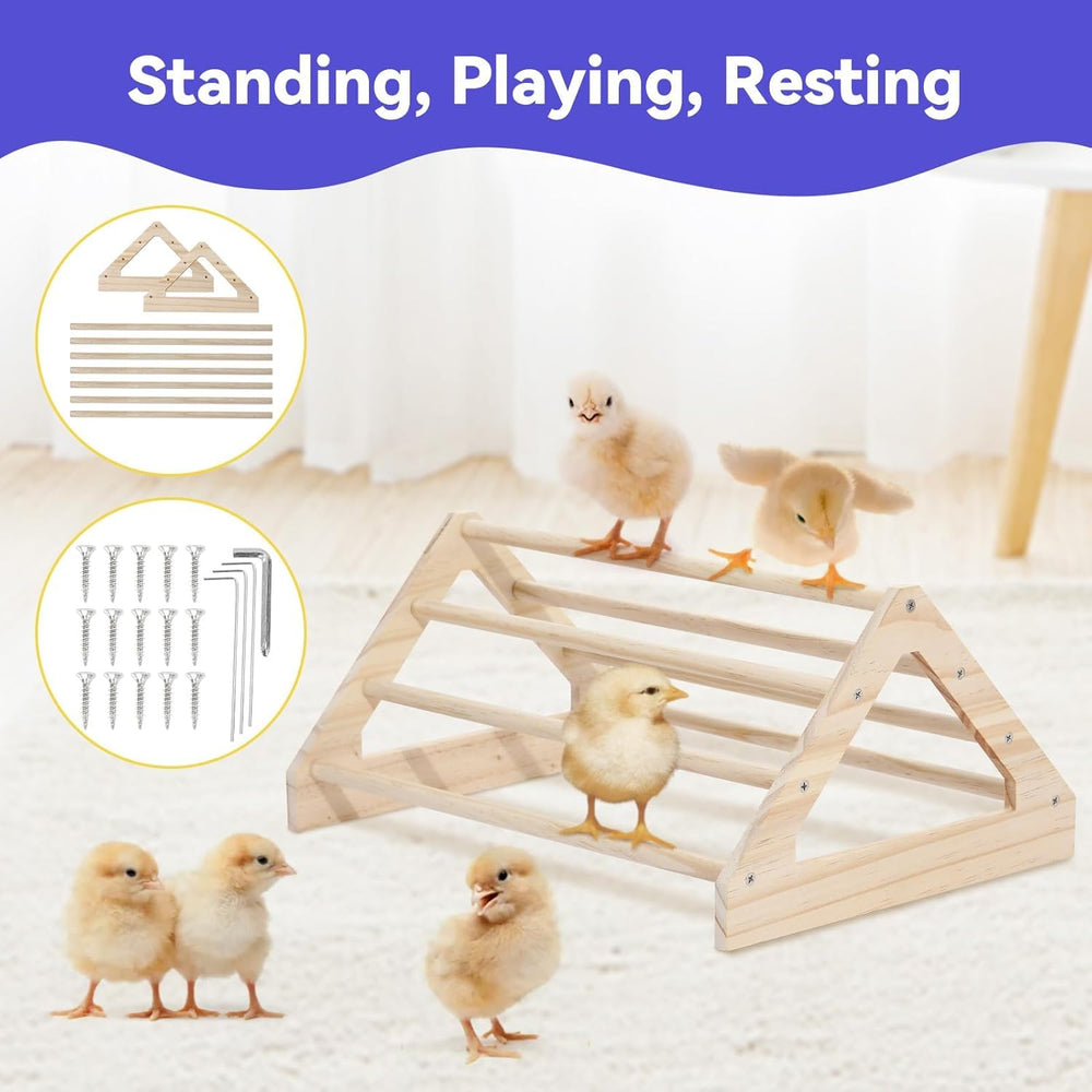 Pawaboo two 9-hole feeders enable orderly feeding for chicks.