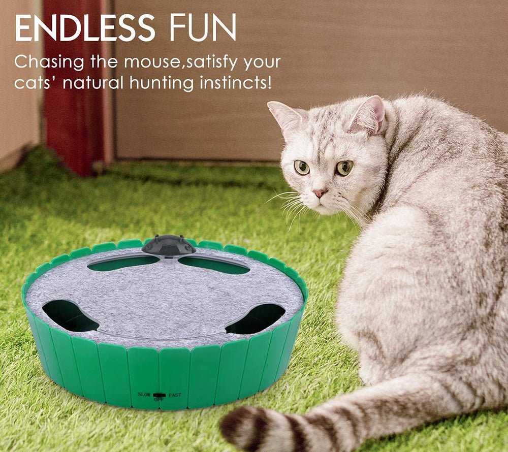 Pawaboo interactive cat toy top-down shows concealed details that engage curiosity and stalking.