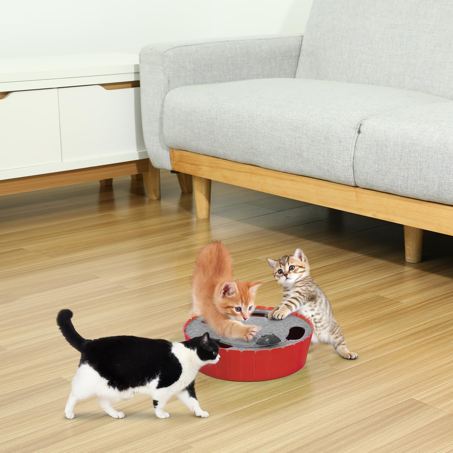 Pawaboo interactive cat toy slow mode action showing patient stalking
