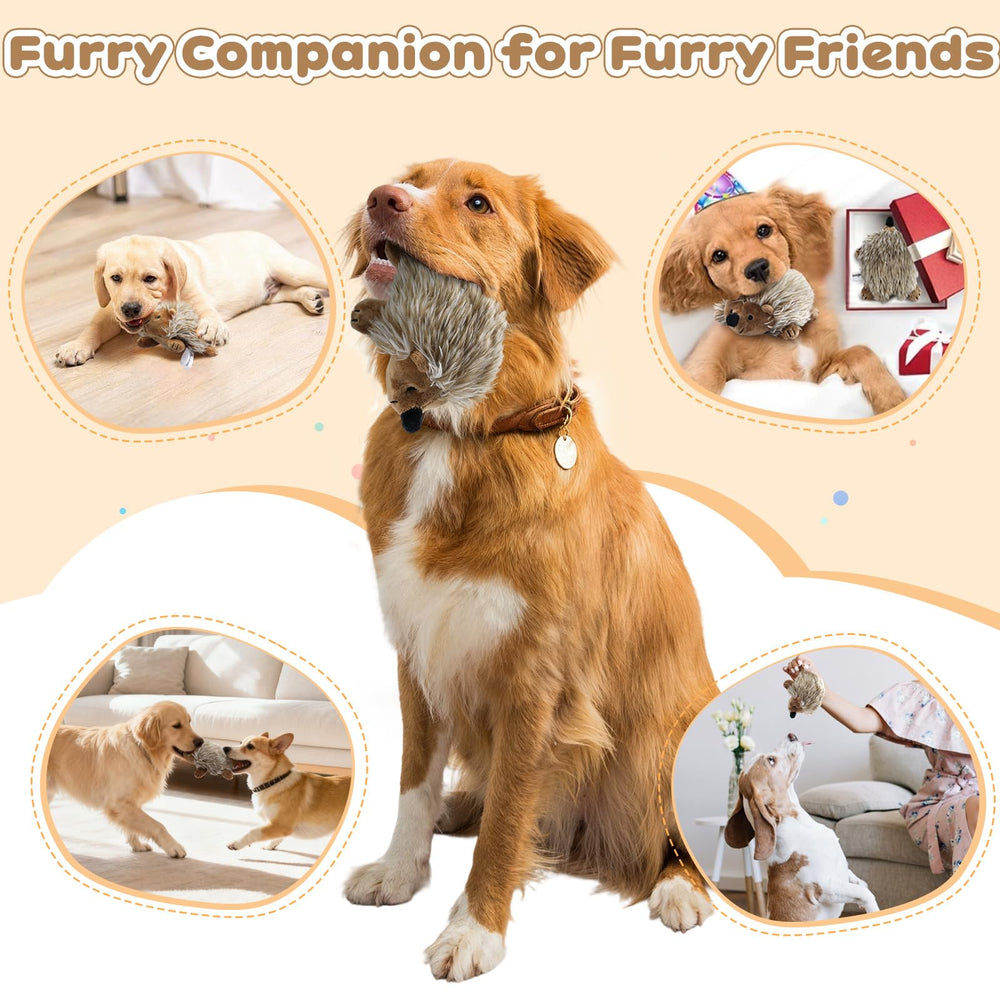 Pawaboo fácil de lavar para perro 2pack: limpieza rápida y conveniente.