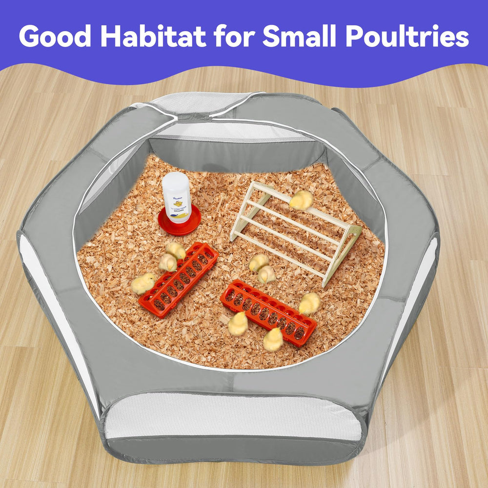 Pawaboo multi-bird habitat supports early-stage chicks