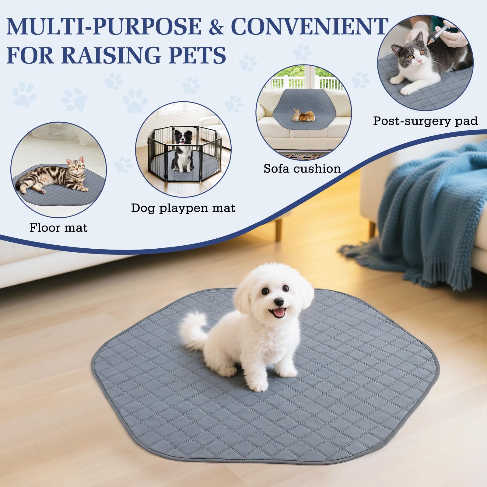 Pawaboo outdoor yard use image shows spacious pen ready for roaming.