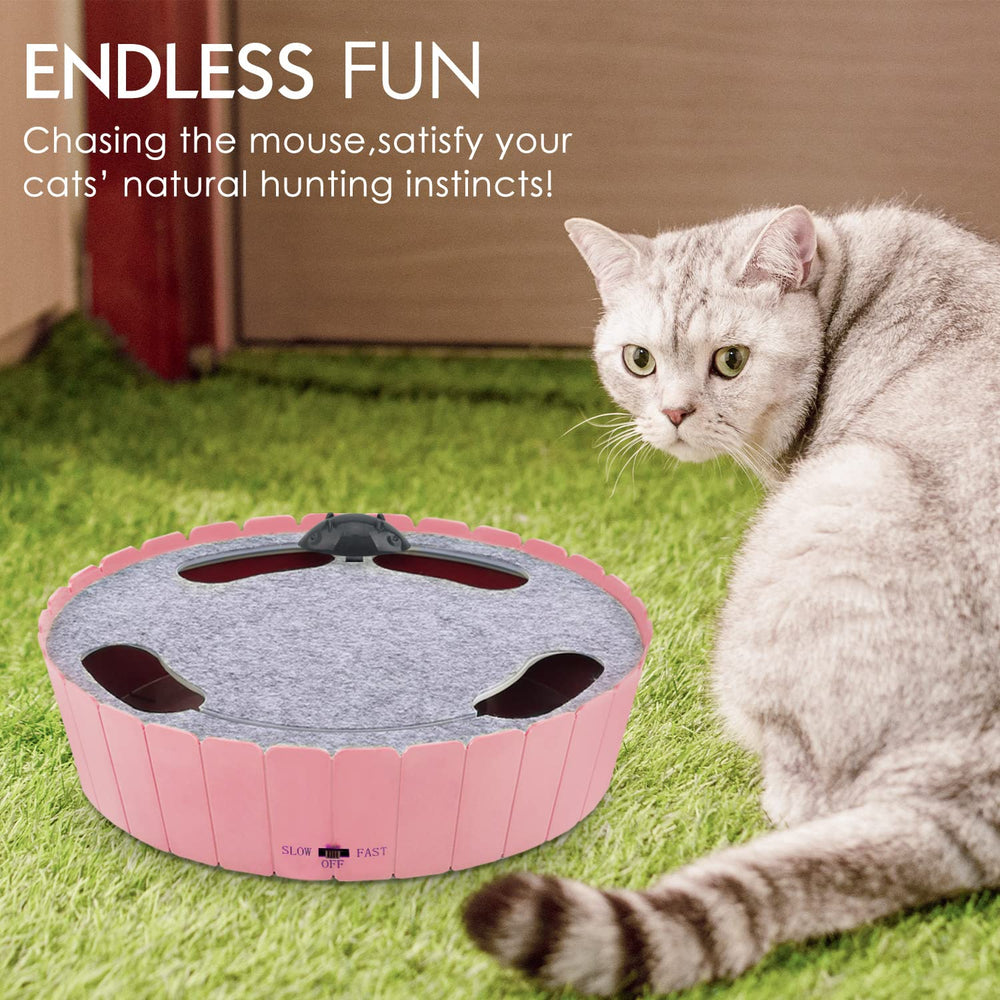 Pawaboo running mouse action captures fast bursts of chase for feline focus.