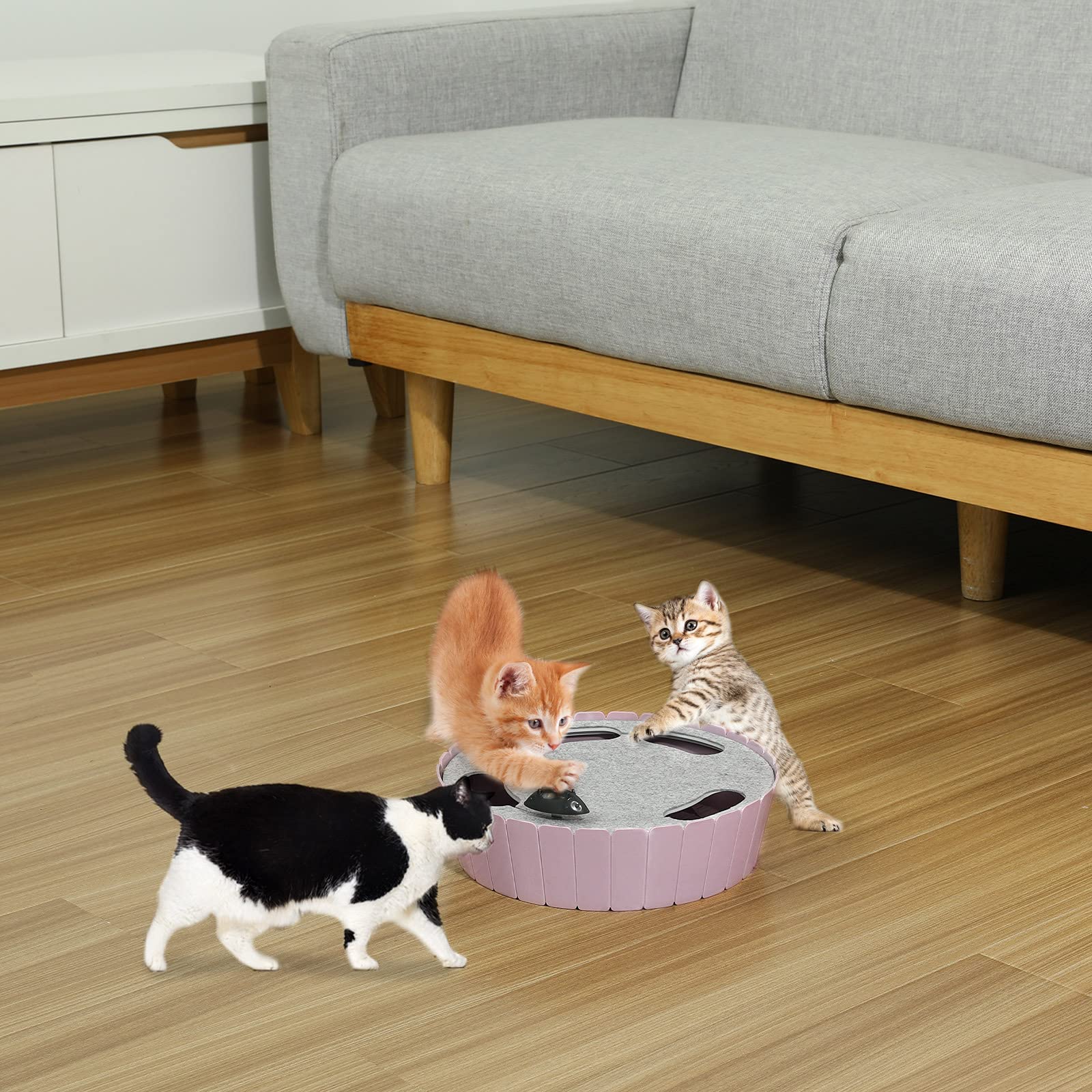 Pawaboo safe-materials-ce-rohs ensures cat-safe design during extended play.