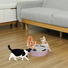 Pawaboo safe-materials-ce-rohs ensures cat-safe design during extended play.