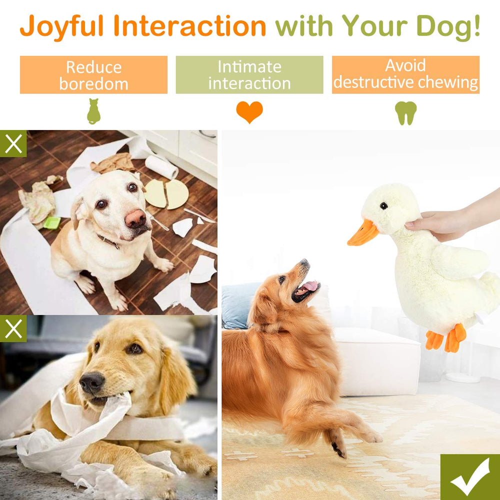 Durable double-stitched seams fit all dog sizes